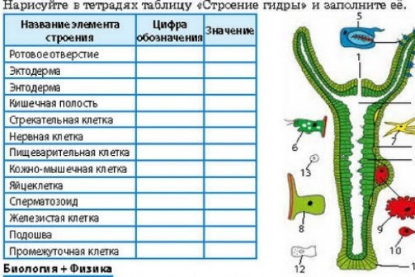 Войти на кракен