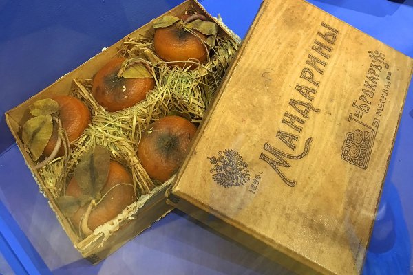Кракен войти сегодня